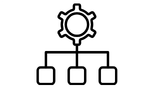 Category knowledge